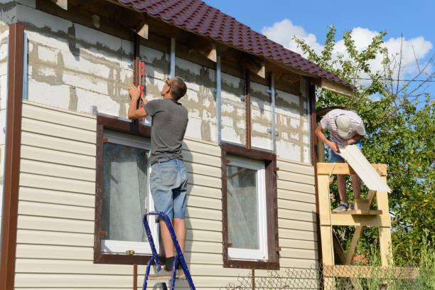 Best Vinyl Siding Installation  in Anthony, TX